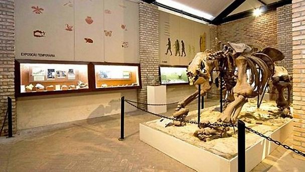 Музей естественной истории UFMG