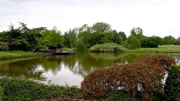 Ботанический сад Гамбурга