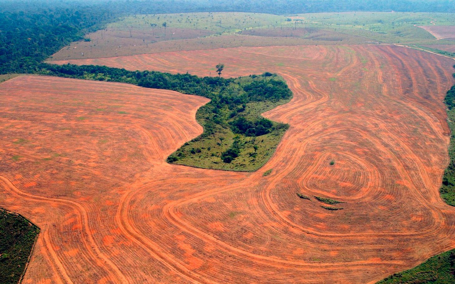 Вырубленные леса в Амазонии