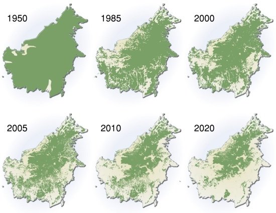 Карта вырубки лесов Амазонии